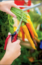 Stainless Steel Scissors - Image 4